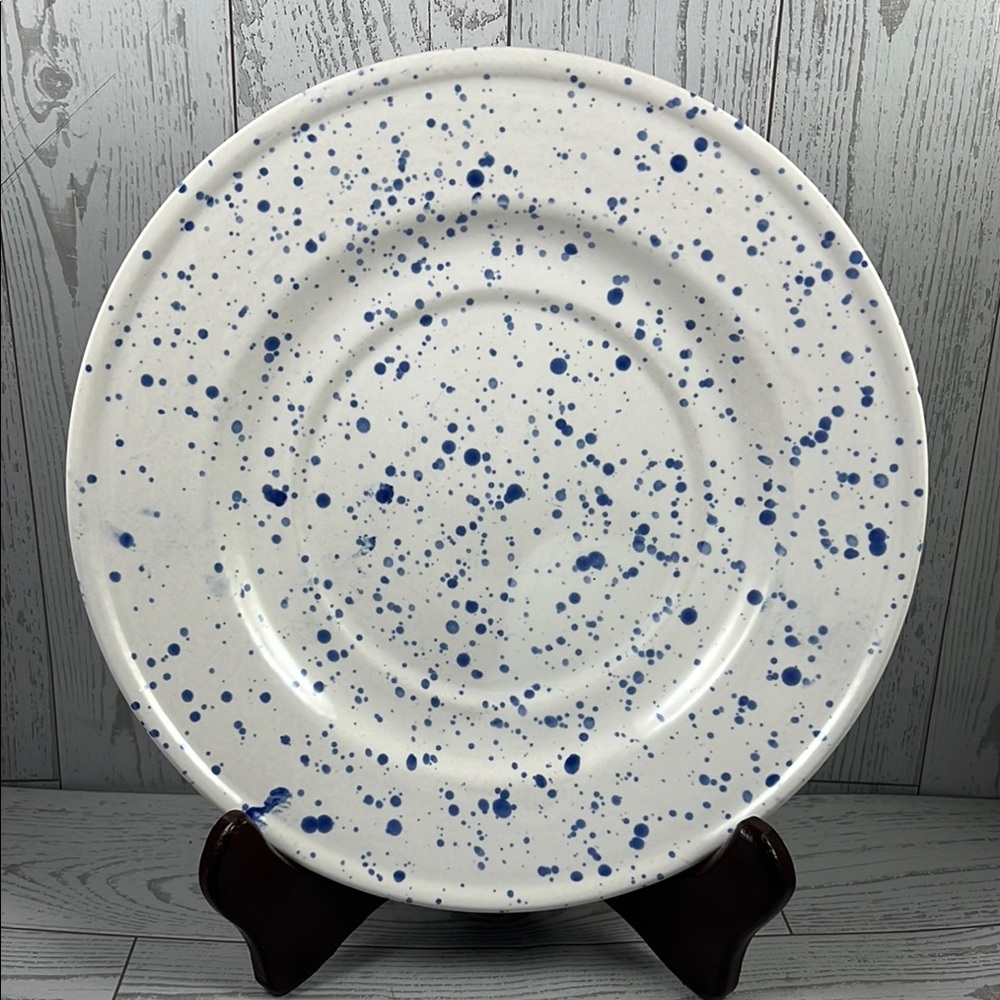 Blue Speckled Dinner Plate